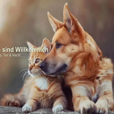 Hotel Panorama Wettiner Hoehe 4*