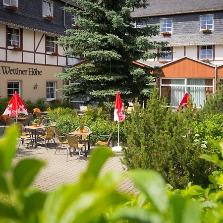 Panorama Wettiner Hoehe Отель Зайфен