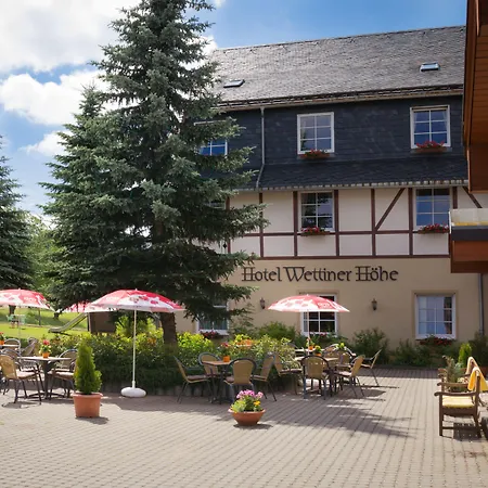 Hotel Panorama Wettiner Hoehe 4*