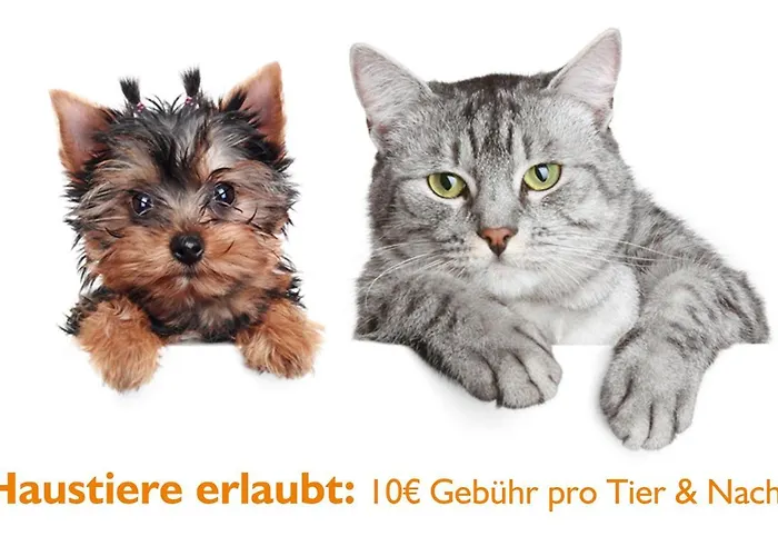 Panorama Wettiner Hoehe فندق