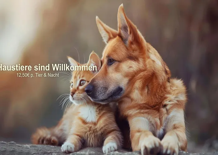 فندق Panorama Wettiner Hoehe 4*